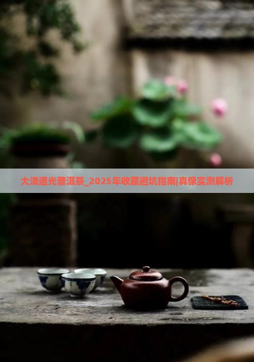 大清道光普洱茶