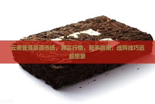 云南普洱茶源市场