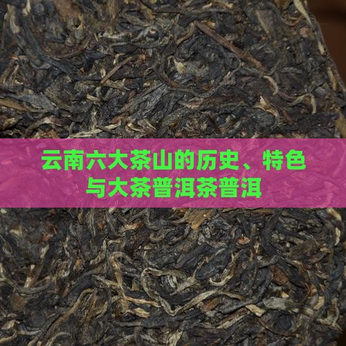 古六大茶山的历史和特色