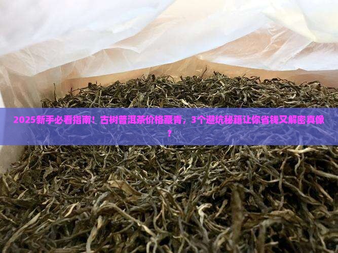古树普洱茶价格藏青