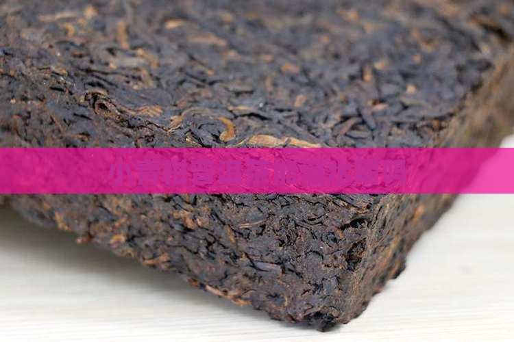 小青柑普洱茶能泡水喝吗