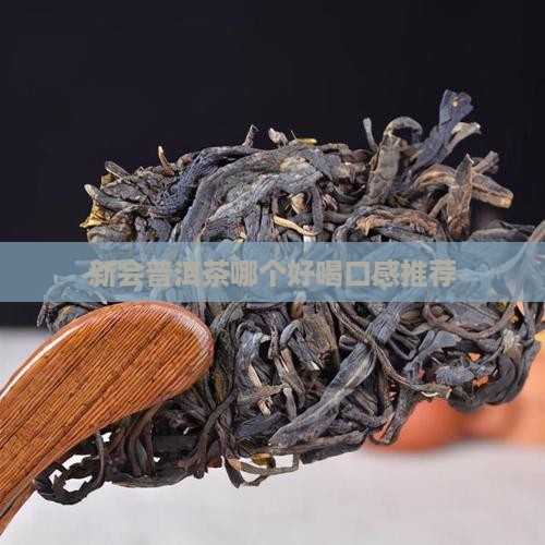 新会普洱茶哪个好喝点呢