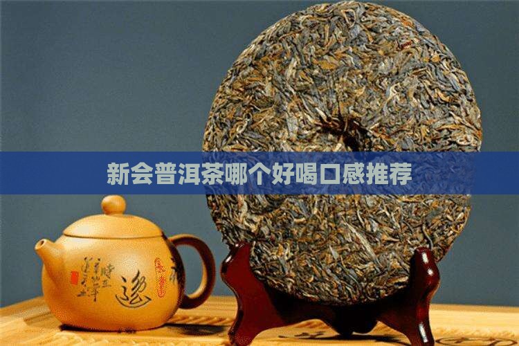 新会普洱茶哪个好喝点呢