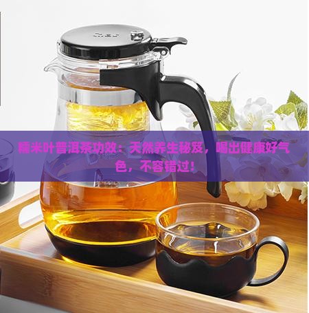 糯米叶普洱茶功效