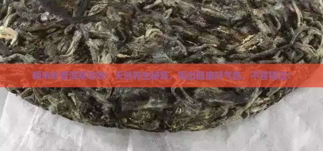 糯米叶普洱茶功效