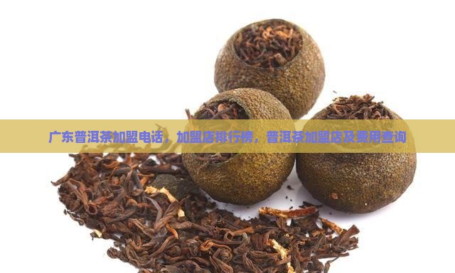 广东普洱茶加盟 广东普洱茶加盟