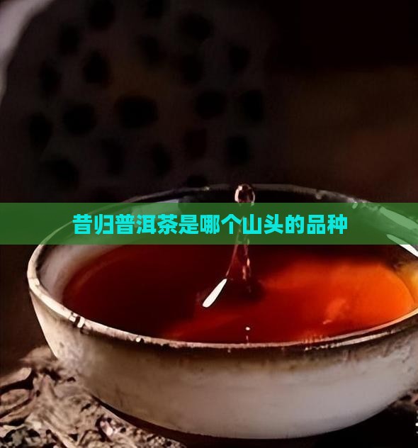 昔归普洱茶是哪个山头