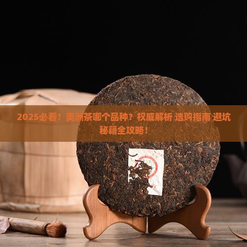 美洲茶哪个品种好