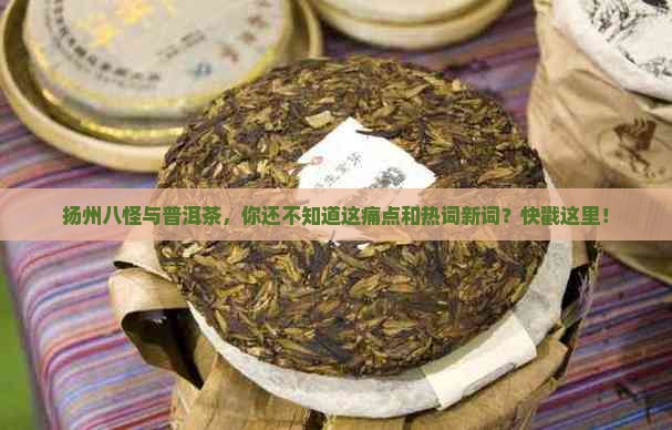 扬州八怪与普洱茶