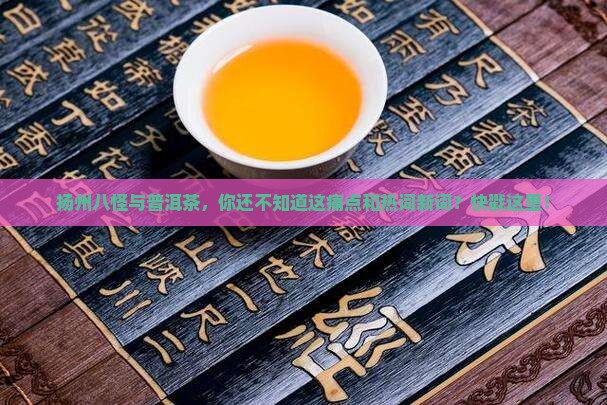 扬州八怪与普洱茶