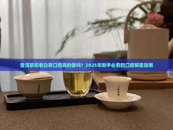 普洱茶和老白茶口感一样吗