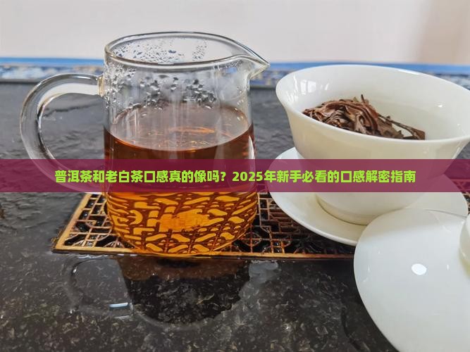 普洱茶和老白茶口感一样吗