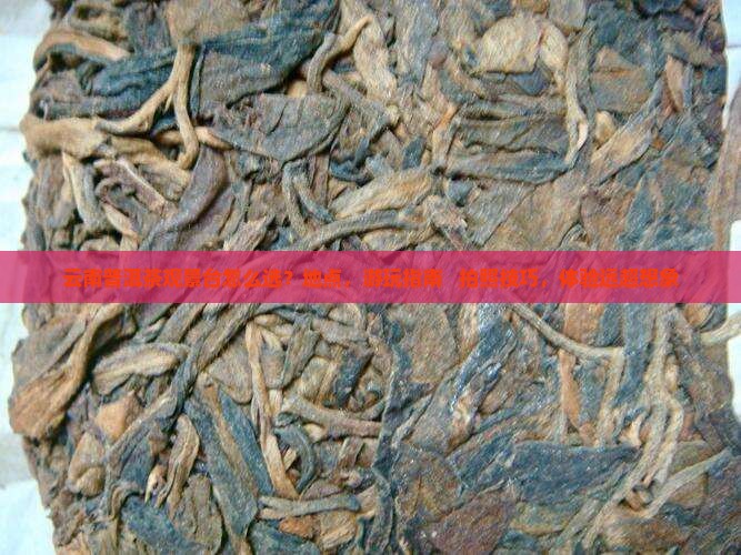 云南普洱茶观景台