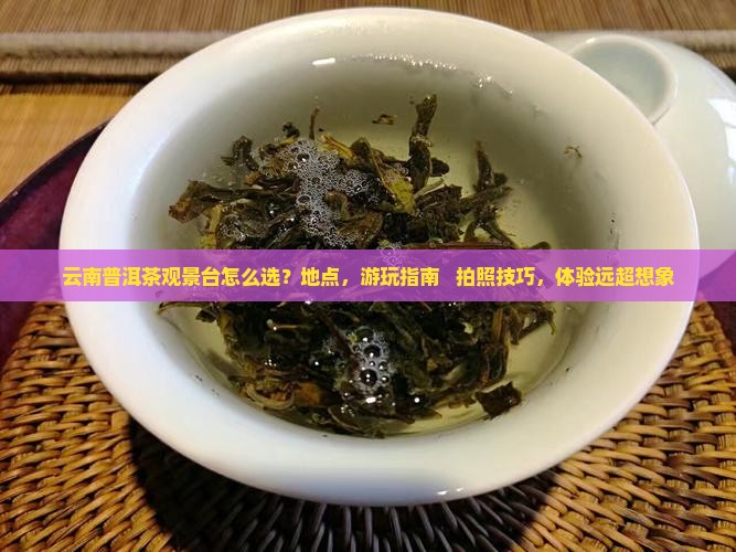 云南普洱茶观景台