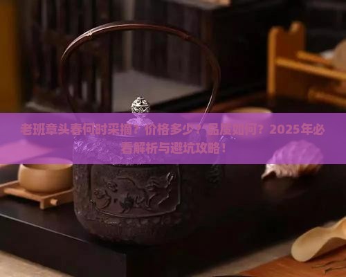 老班章头春是什么时候