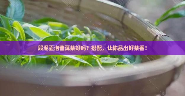 段泥壶泡普洱茶好吗