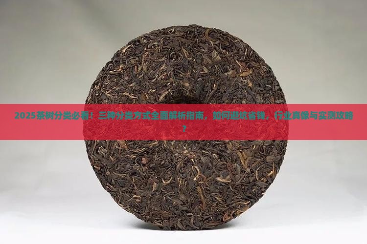 茶树分类三种分类方式