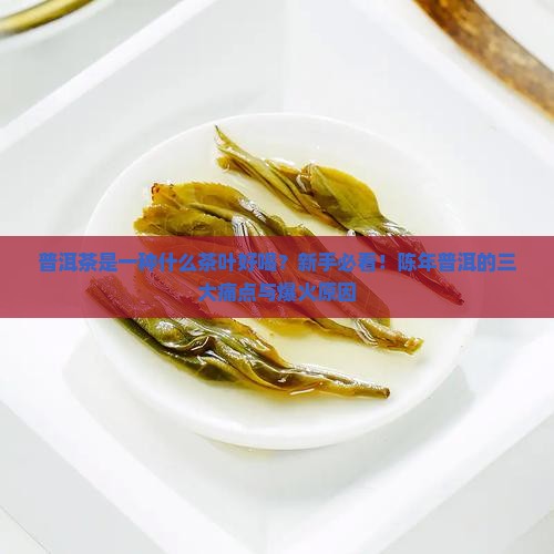 普洱茶是一种什么茶叶好喝