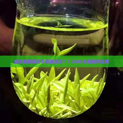 金骏眉算普洱茶吗