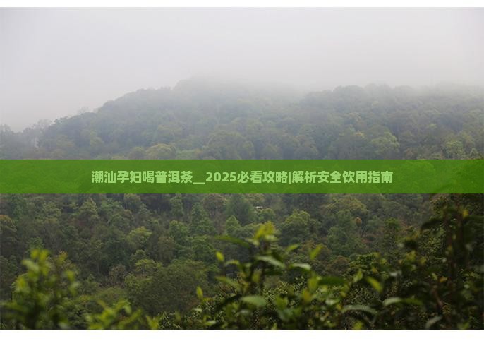 潮汕孕妇喝普洱茶