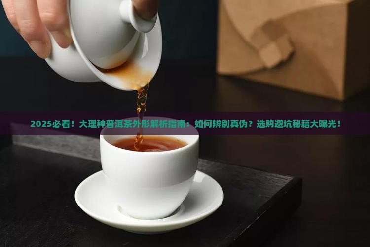 大理种普洱茶外形 大理种普洱茶外形