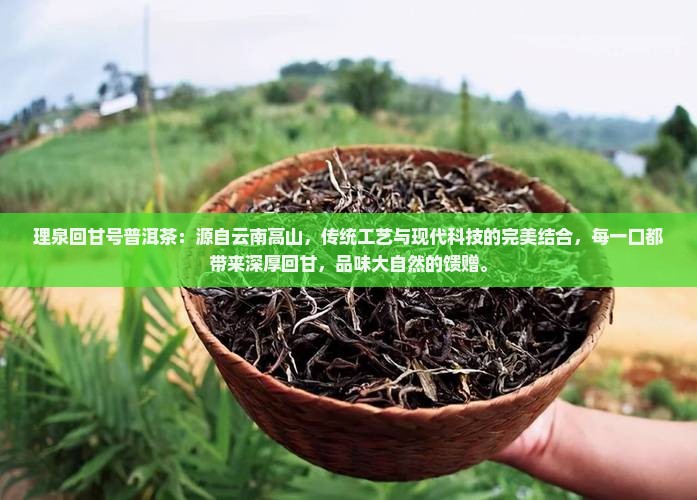 理泉回甘号普洱茶