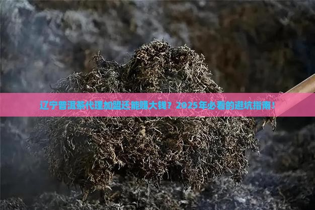 辽宁普洱茶代理加盟前景