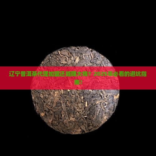 辽宁普洱茶代理加盟前景