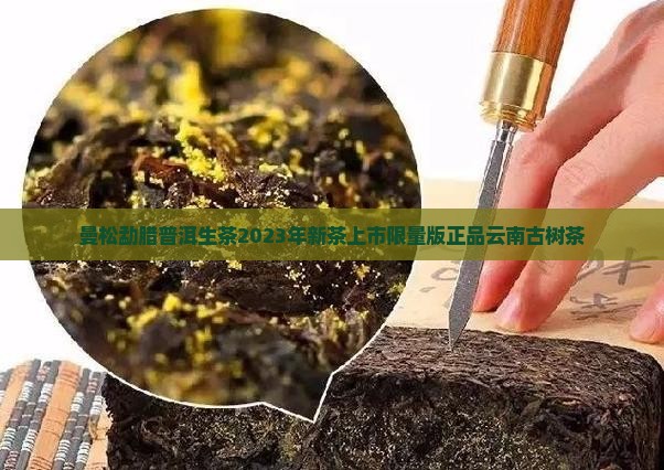 曼松勐腊普洱生茶