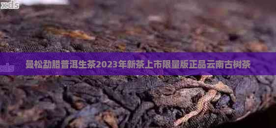 曼松勐腊普洱生茶