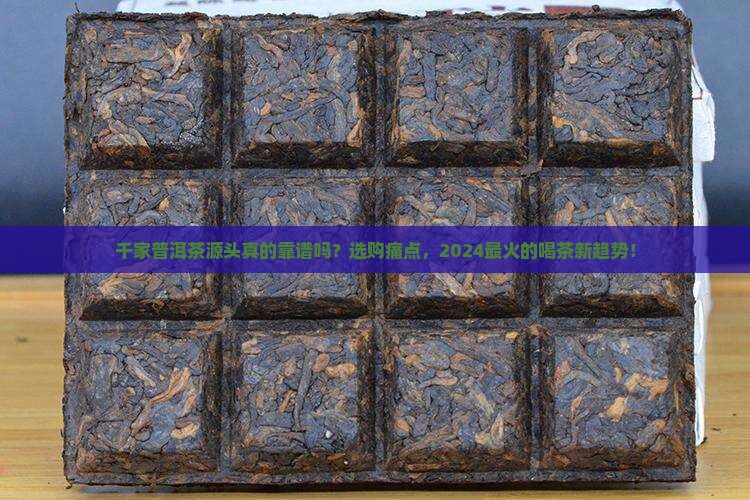 千家普洱茶源头
