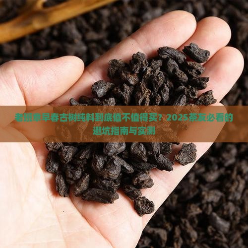 老班章早春古树纯料