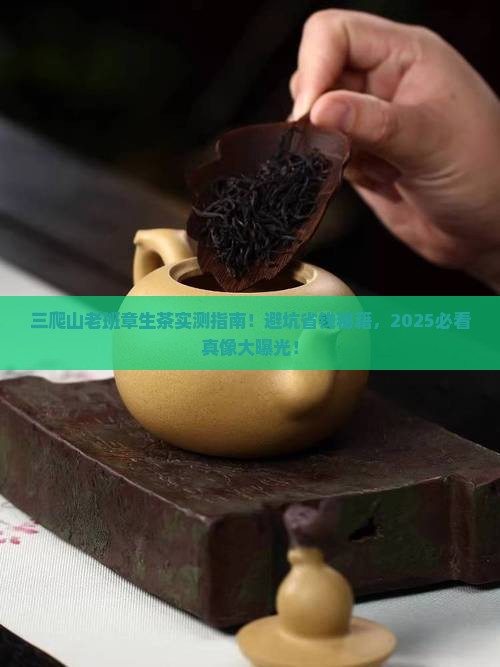 三爬山老班章生茶