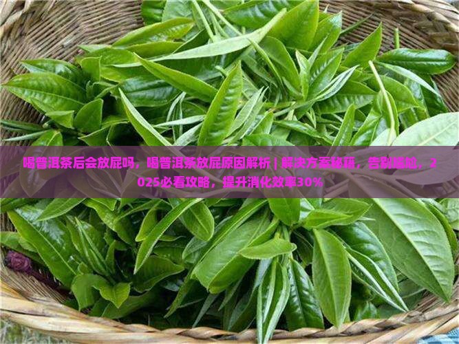 喝普洱茶后会放屁吗