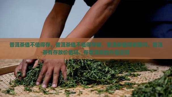 普洱茶值不值得存