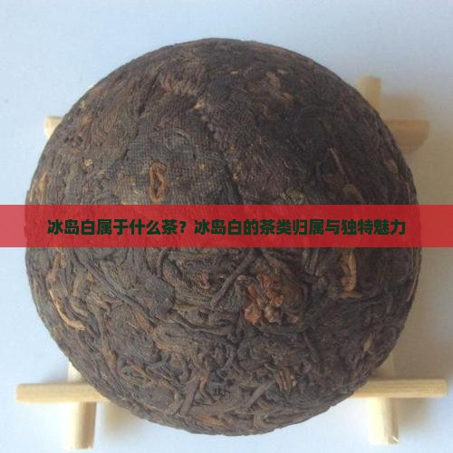冰岛白属于什么茶