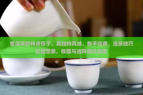 普洱茶的特点在于