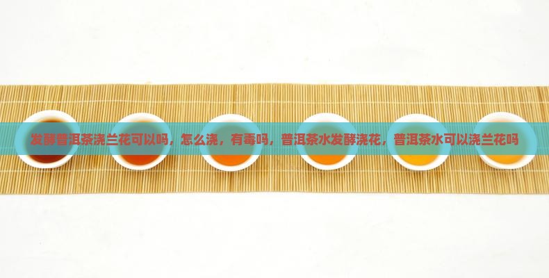 发酵普洱茶浇兰花可以吗