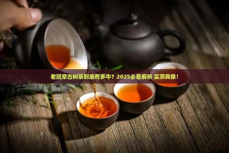 真正老班章古树茶介绍