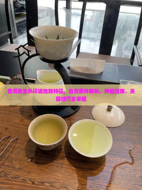 普洱茶生长环境地貌特征