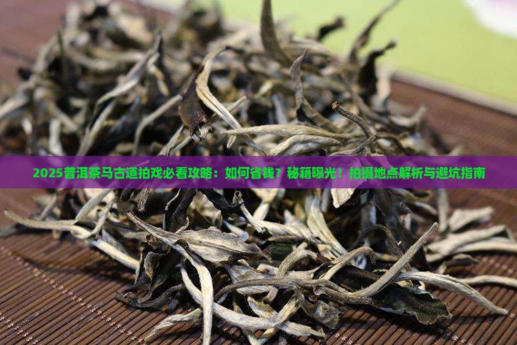 普洱茶马古道拍戏
