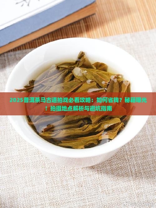 普洱茶马古道拍戏