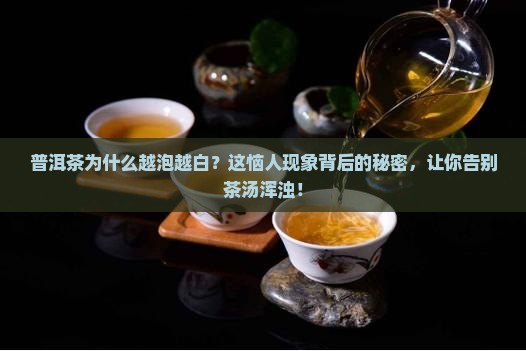 普洱茶为什么越泡越白