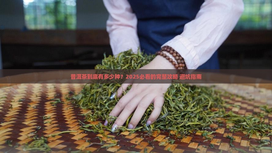 普洱茶的常见类型