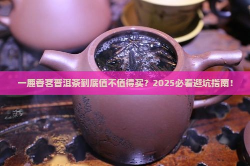 一鹿香茗普洱茶