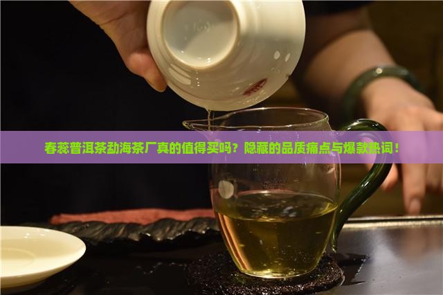 春蕊普洱茶勐海茶厂
