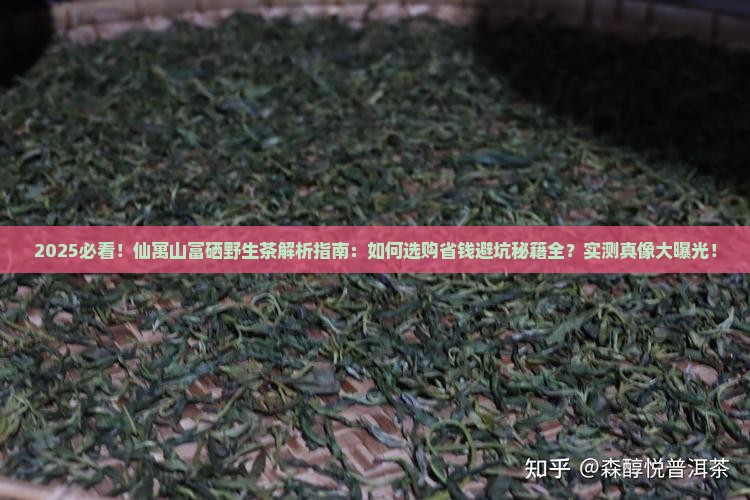 仙寓山富硒野生茶