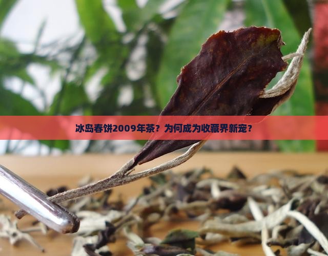 冰岛春饼2009年茶