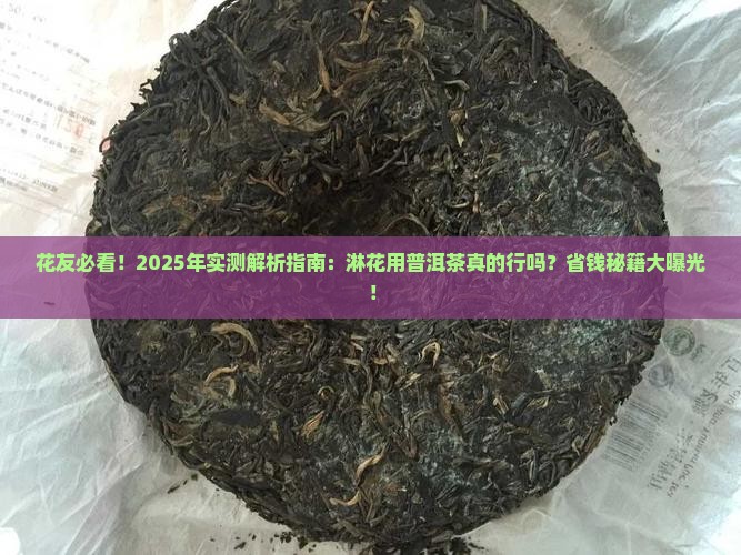 普洱茶能淋花吗