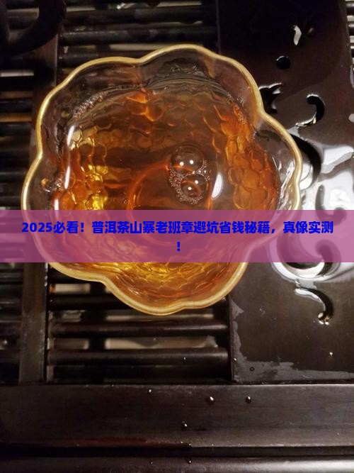 普洱茶山寨老班章